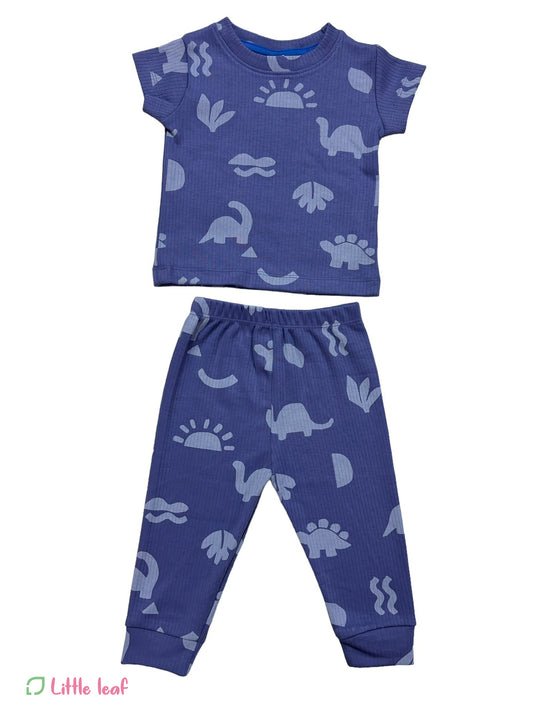 Blue Dino Sun Ribbed Pant Sets